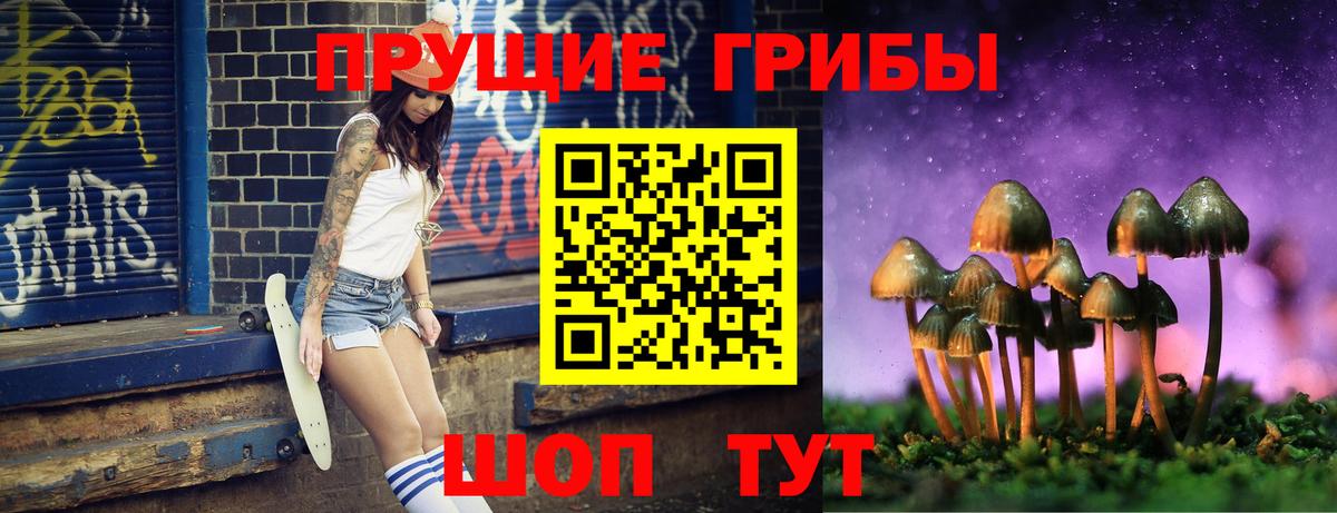 Галлюциногенные грибы мицелий  купить   Псилоцибиновые грибы Psilocybe  Воткинск  Вход с VPN 
